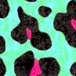 Meet your Posher, Marcela